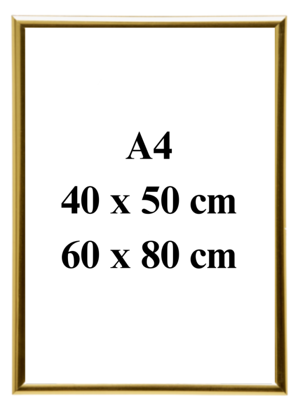 Rám na plakáty - Zlatý - Velikost: 60 x 80 cm