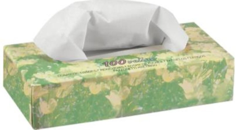 Papírové kapesníky - 100 ks